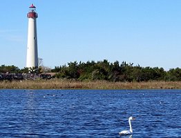 Cape May Point Rentals